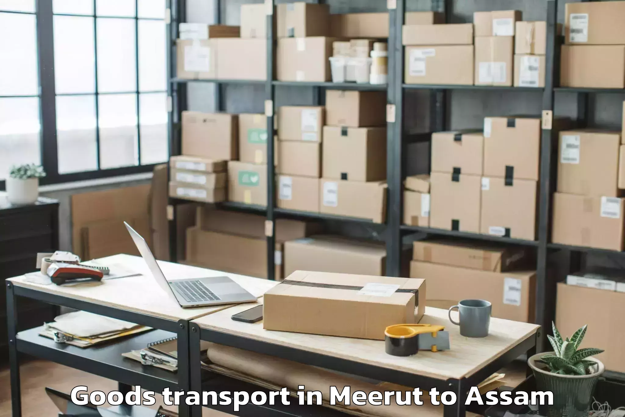 Quality Meerut to Hojai Goods Transport